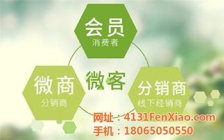龍海制造，網加賦能 技術推廣如何驅動工廠網絡營銷新篇章